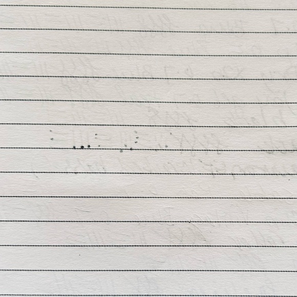 Pretty Lined Notebook - Picture 7 of 7